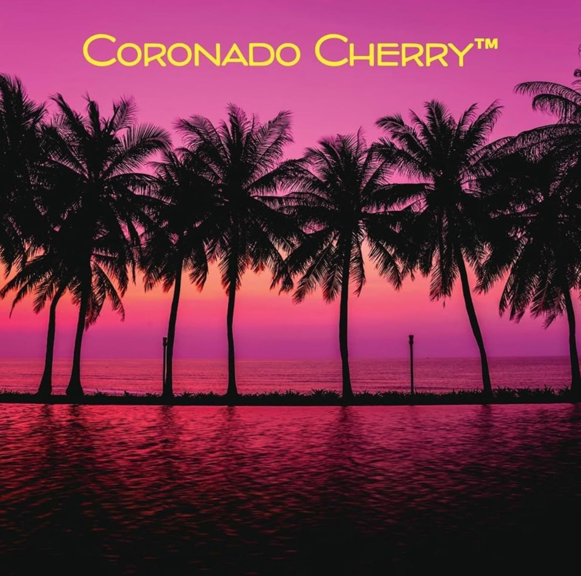 PACK 12 UDS Coronado Cherry